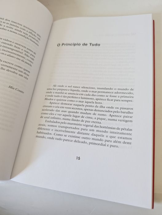 Um dia atrás do outro