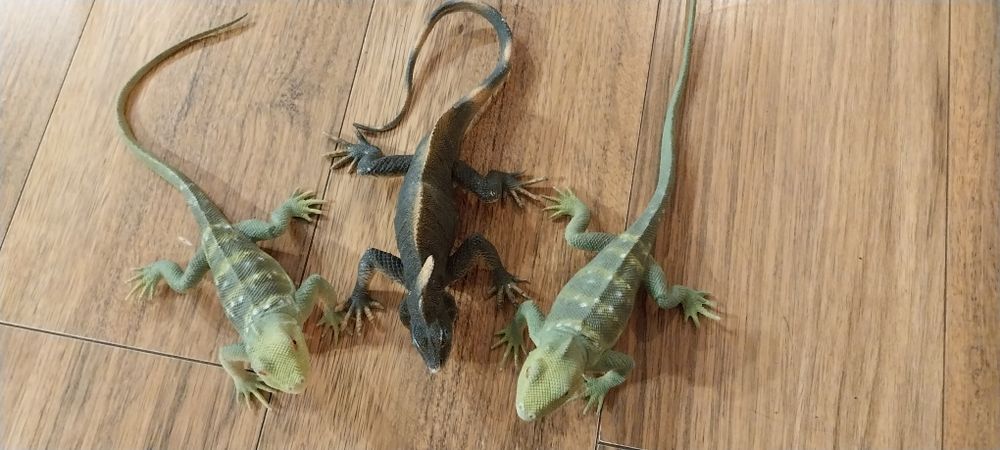 Jaszczurka jaszczurki figurki