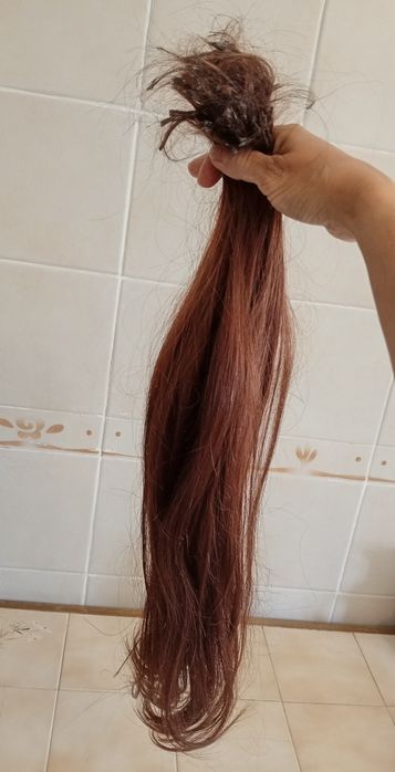 Cabelo humano regional brasileiro