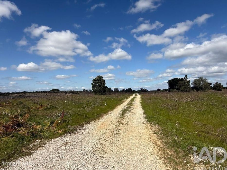 Terreno Agrícola em Palmela