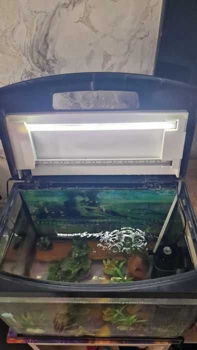 Акваріум приблизно 40 літрів