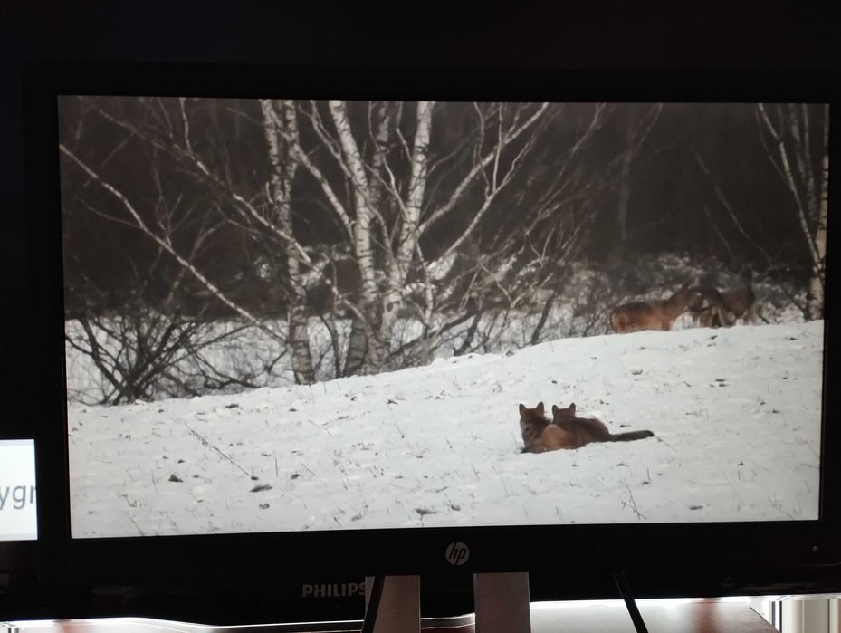 Monitor HP EliteDisplay E222