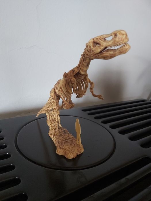 Fóssil T-Rex decoração