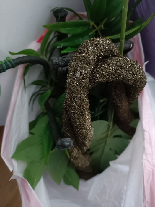 Terrario ExoTerra+ acessórios