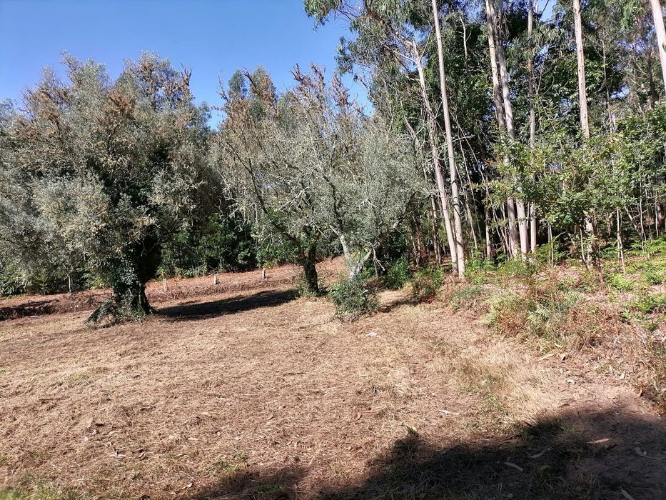 Terreno fantástico para construção