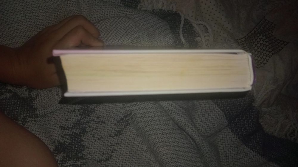Книжка занепалений спадкоємець бу