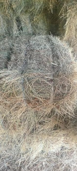 Продам сіно в тюках