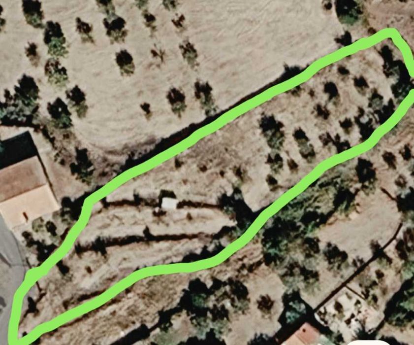 Terreno com oliveiras em Aldeia da Serra