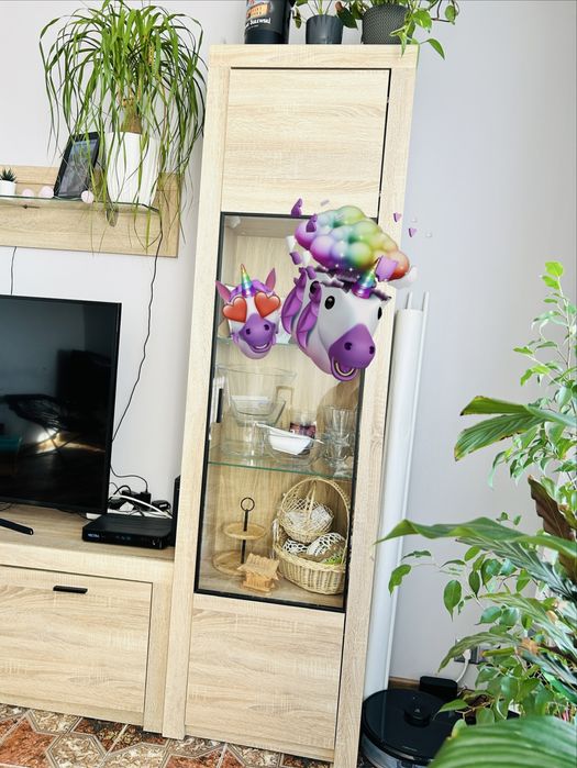 Meblościanka do salonu