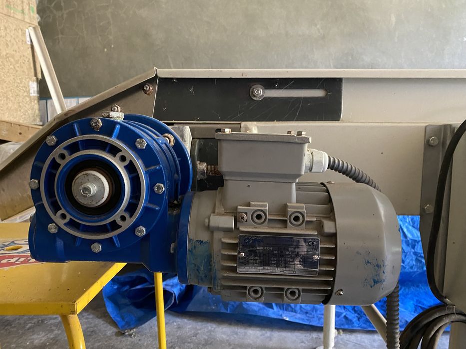 Passadeira usada para escolher mirtilo