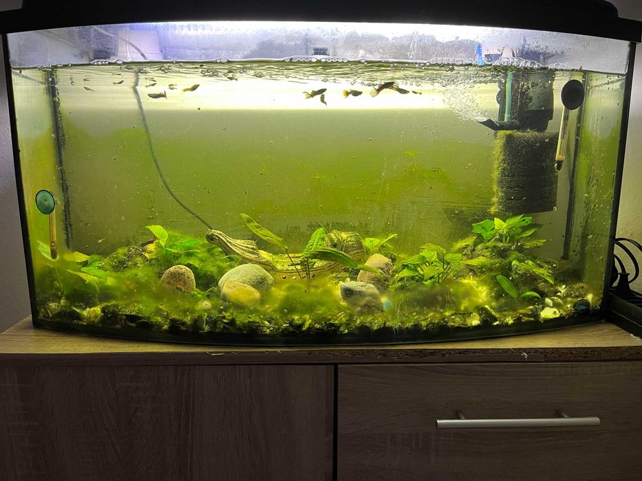 Akwarium Aqua Szut 102 litry zaokrąglone 3D + Zestaw do obsługi akwarium