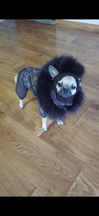 Комбінезон + шапка, комплект продам