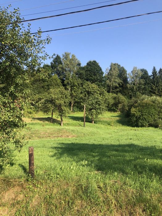 Продаються земельні ділянки