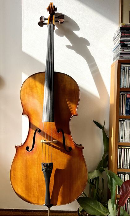 Violoncelo 4/4 Sielam Capriccio 2015