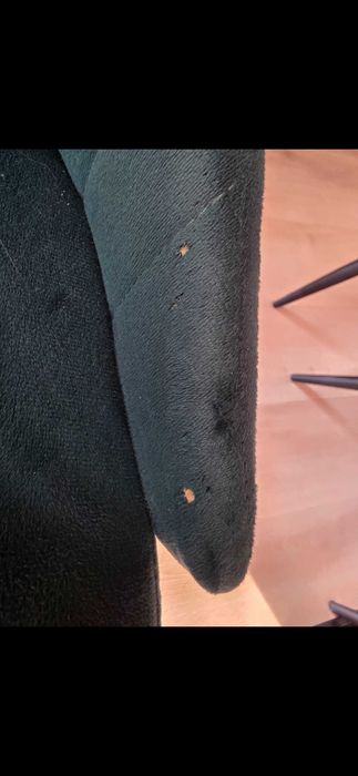 4 Krzesła Louis Welurowe