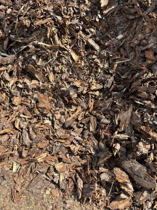 Kora sosnowa z transportem