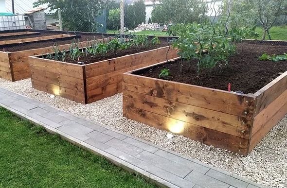 Високі грядки з дерева.