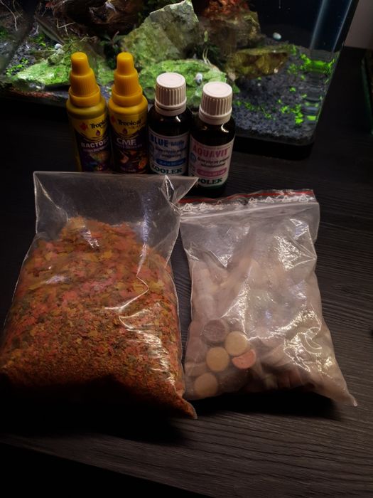 Akwarium 19 l z roślinami i krewetkami
