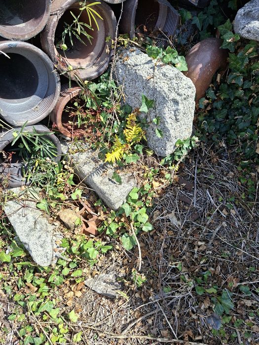Pedra diversa para obras