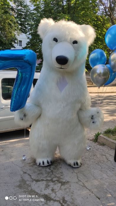 Привітання від ведмедика Аніматори Мішка Мишка поздравление Запорожье