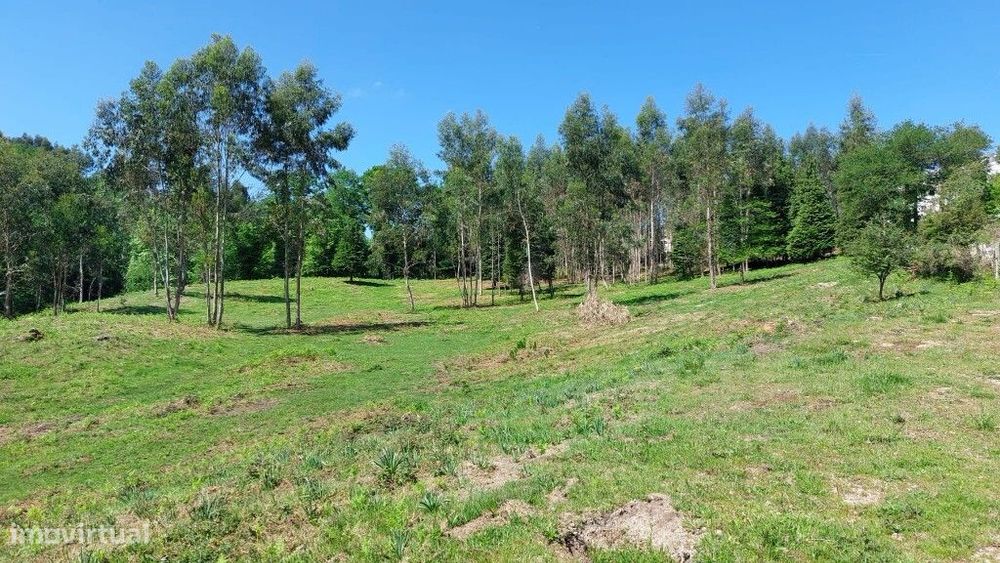 Rural Plot - Tabuaças