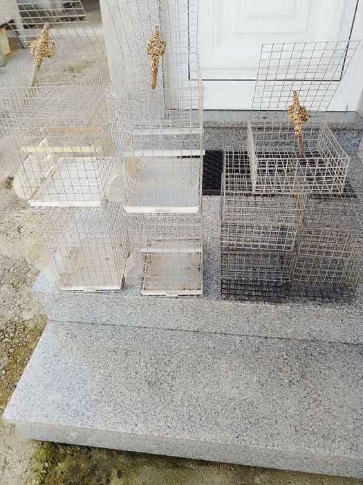 Gaiolas e alçapões