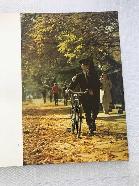 Livro - Dublin antigo