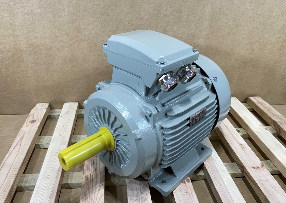 silnik elektryczny 15kW 2940obr. 3fazowy 160B3 IE2