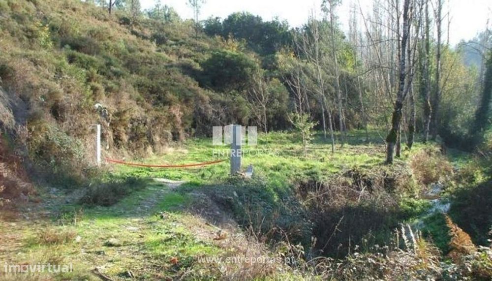 Venda lote de terreno, Paraíso, Castelo de Paiva