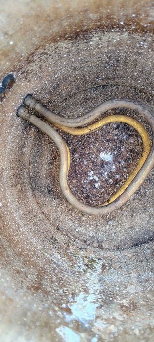 Дистилятор, перегонный куб