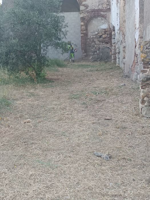 Corte de erva em quintas