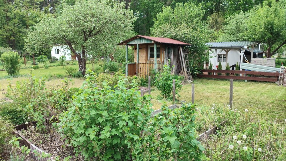 Działka ROD ogródek działkowy na sprzedaż