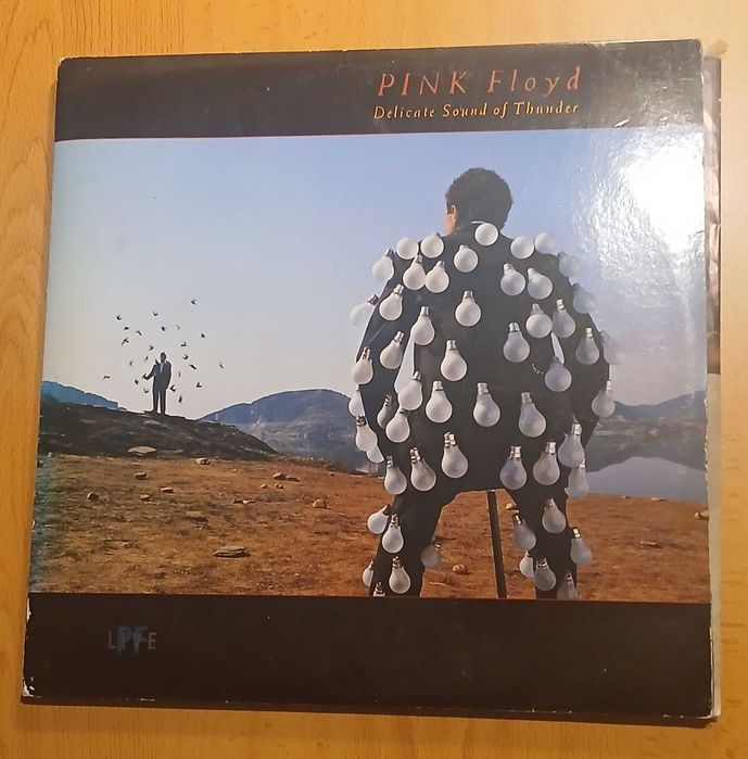 Vinil - Pink Floyd- A Delicate Sound of Thunder