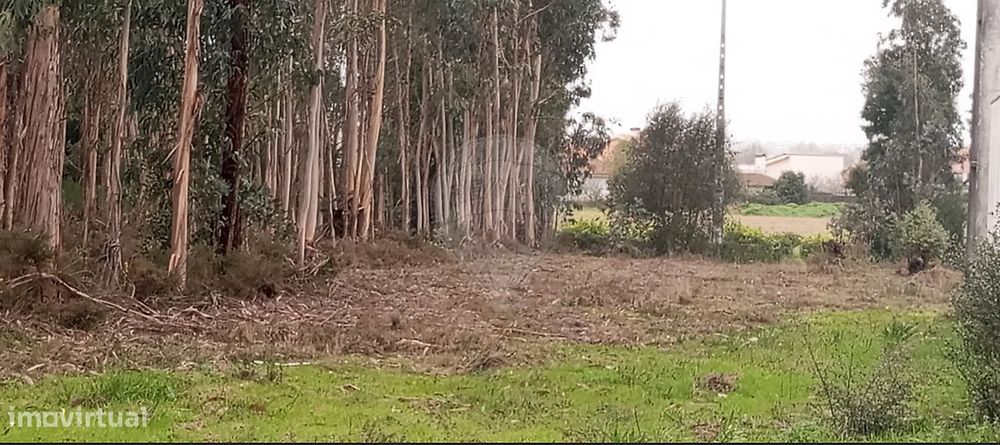Terreno  para venda — Pampilhosa, Aveiro
