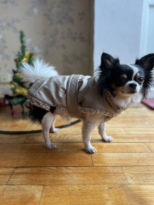 Куртка жилет одяг Pet fashion