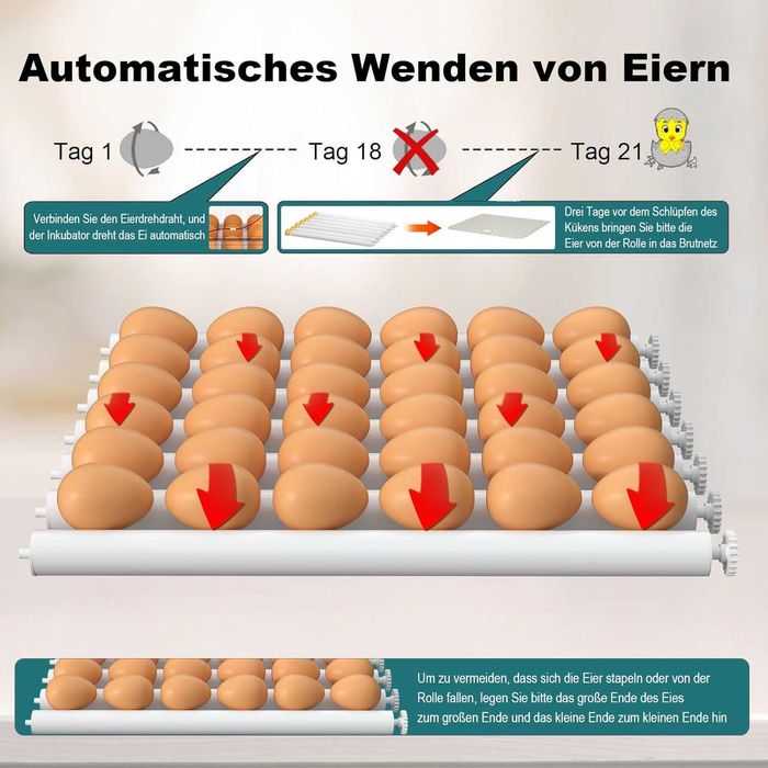 Інкубатора на 24-36 яєць CoInceptus з автомат перевертанням яєць