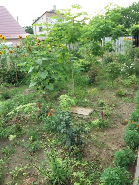 Продам  новий дом с Киїнка, Чернігівського р-на