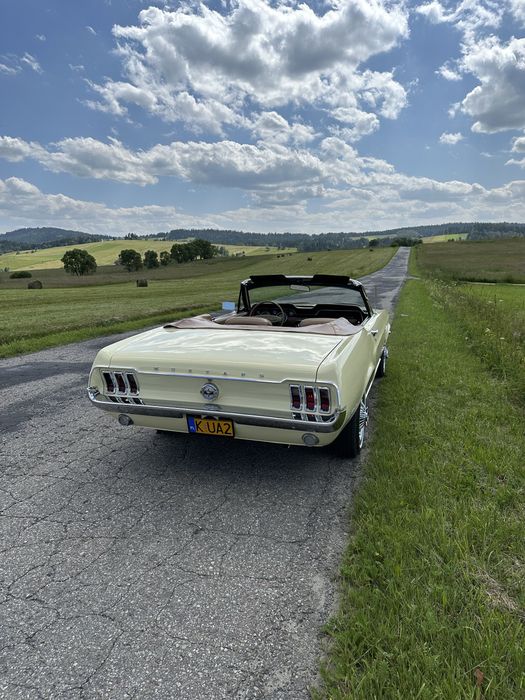 Ford Mustang 4,7L (289).