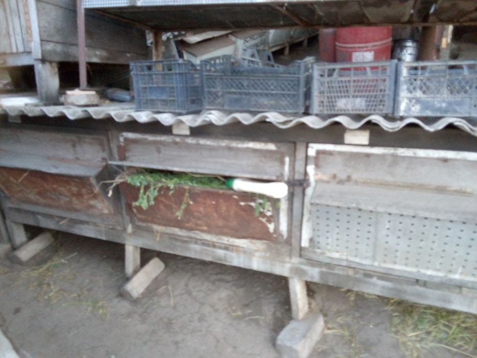 клітки для кролів.