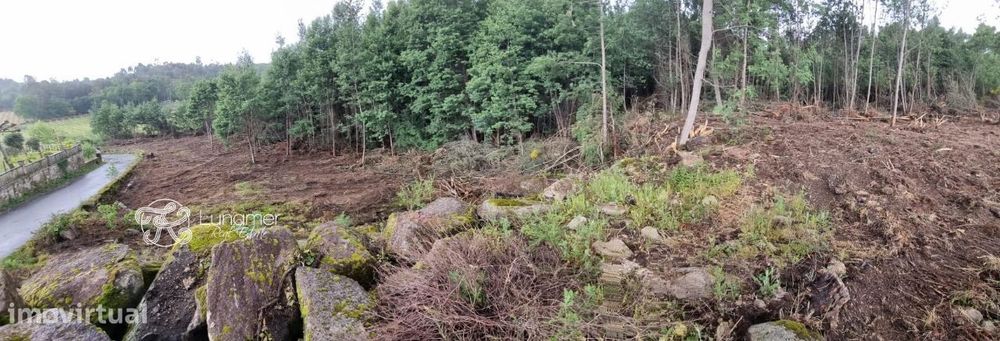Terreno em Moimenta, Cabeceiras de Basto