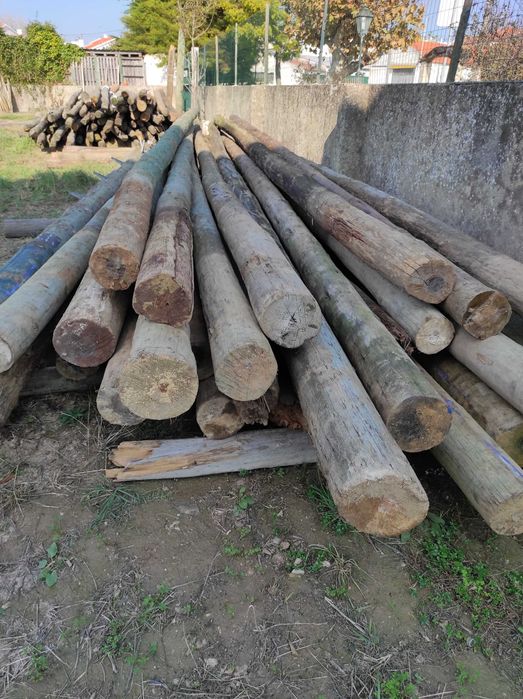 Paus / postes de telefone