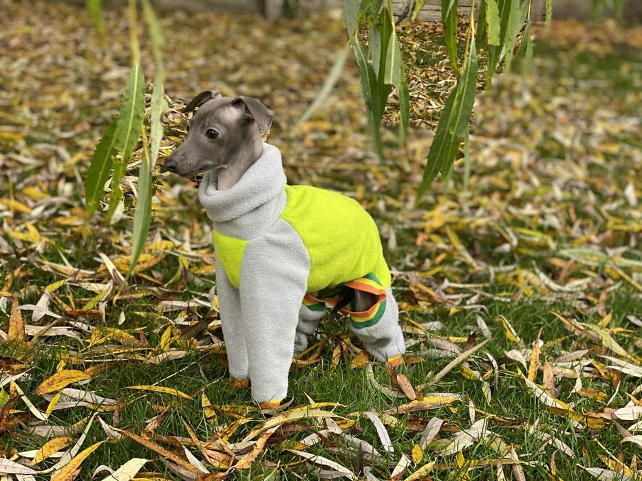 Charcik włoski chłopak