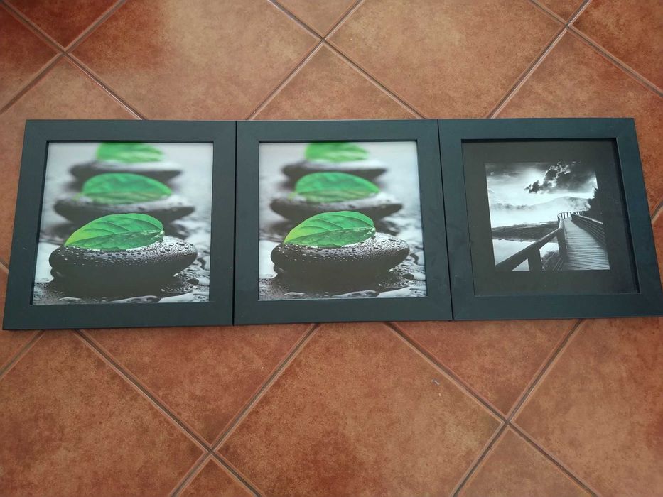 Set of 3 Nature-Themed Decorative Frames