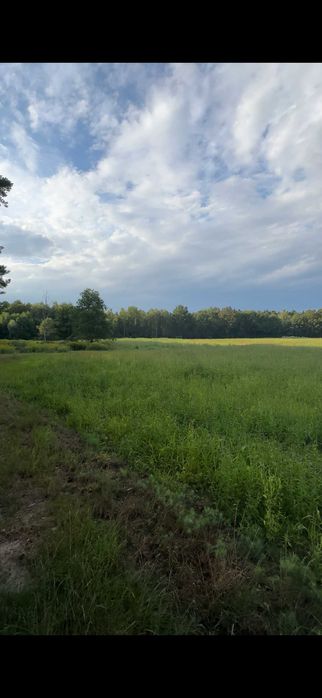 Działka budowlana przy lesie, media, Krzeczyn gm. Oleśnica - Widok 2
