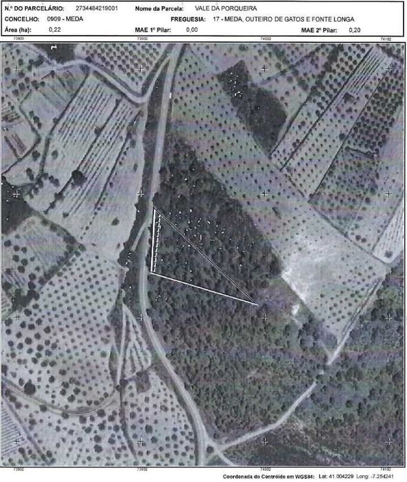 Prédio Rústico – Vale da Porqueira – 24.214 m²