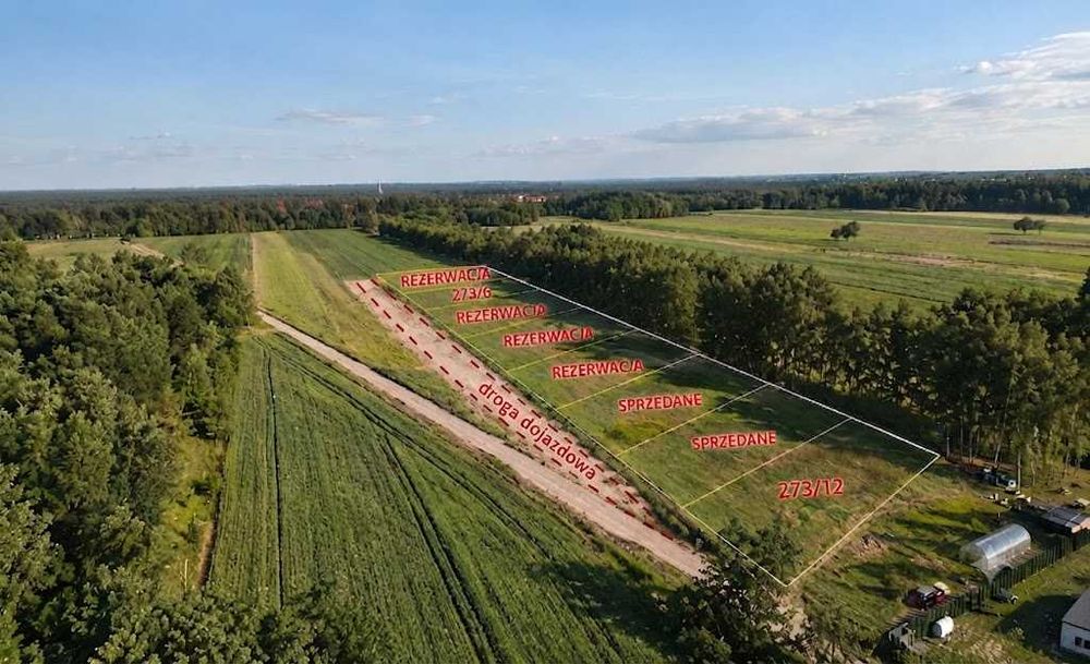 działki budowlane działka budowlana niedaleko Piotrków Trybunalski - Cekanów Rozprza warunki zabudowy