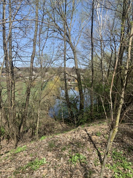 Продаю 40 соток! Садівництво! Між Летрою і Шкарівкою!