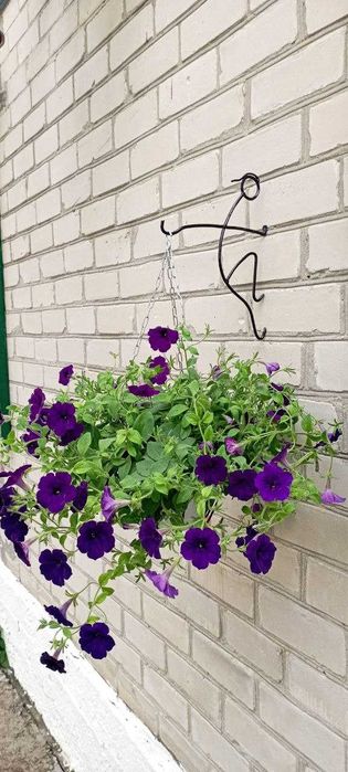 Кронштейн для квітів