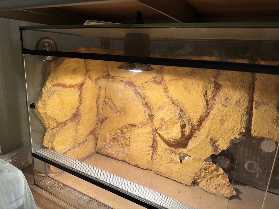 Duze terarium 120cm uzywane dla agamy