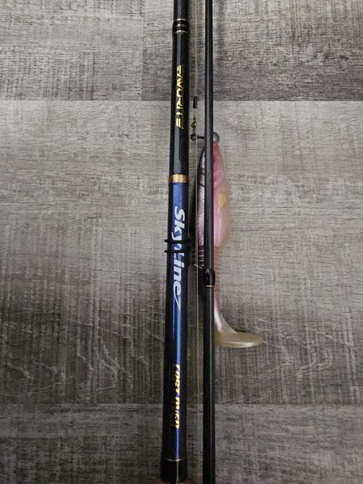 Multiplikator Shimano Cuardo MGL 71 HG + Favourite SkyLine Cast Over 258 8-21